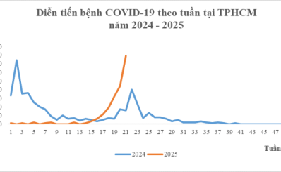 TP Hồ Chí Minh: cập nhật tình hình COVID-19 đến tuần thứ 21 năm 2025